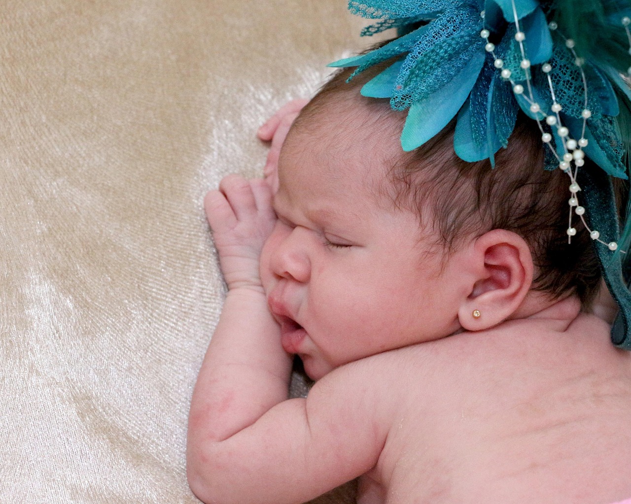 Education and Mentorship in High Fashion