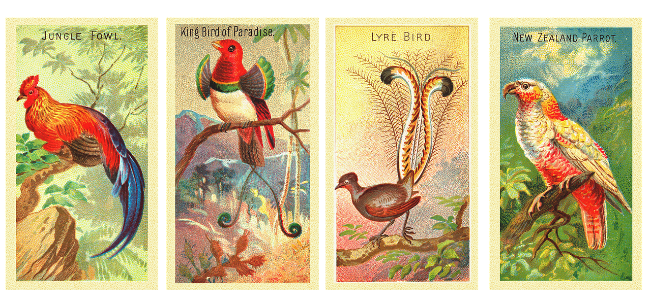 In 2023, Ahluwalia is set to make waves with her